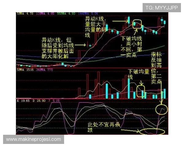 lota体育k线怎么看帮助新手快速掌握K线图分析技巧