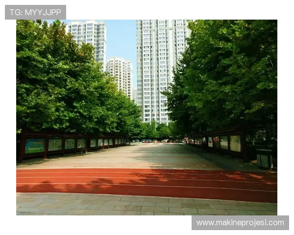 乐天体育登录流程详解让新手用户轻松掌握登录步骤与常见问题